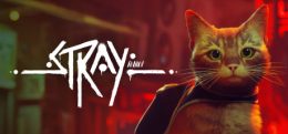 迷失(Stray)